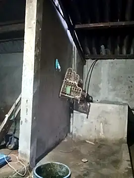 Myzak- online show from March 2026 11:23:01 AM