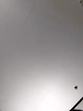 Wantmyassfilled online show from December 2025 08:39:02 AM