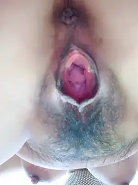 piug321 online show from February 2026 07:35:01 PM