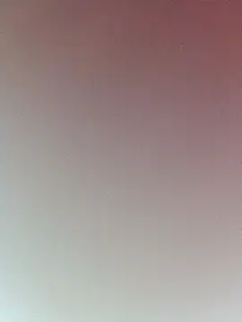 Rajni chauhan online show from January 2026 04:54:02 PM