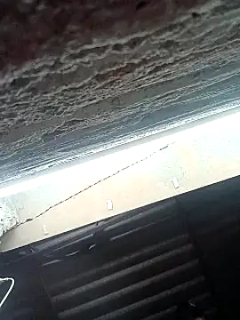 Rajni chauhan online show from February 2026 06:52:01 PM