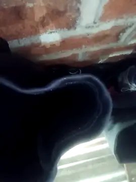 Snapshot of Rajni_chauhan chatting on November 2025 04:45:01 PM Rajni chauhan online show from November 2025 04:45:01 PM