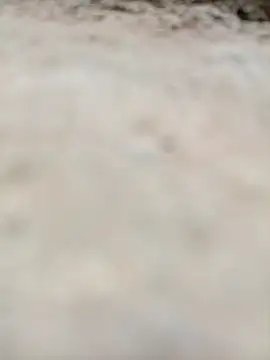 Snapshot of Rajni_chauhan chatting on October 2025 11:55:02 PM Rajni chauhan online show from October 2025 11:55:02 PM