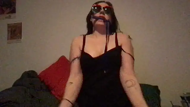 wet alleycat online show from February 2026 07:16:02 AM