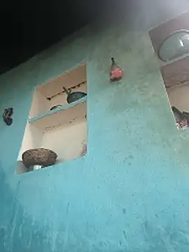 Ragni bhargav online show from December 2025 04:57:02 AM