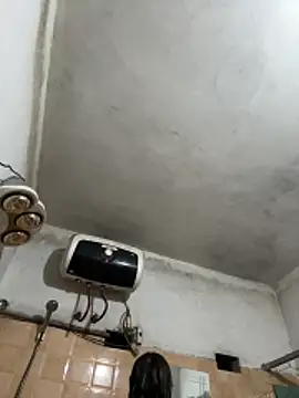 panda-bae online show from December 2025 01:24:02 PM