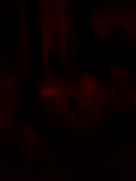 goloso80 online show from May 2026 02:53:01 AM