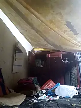 Cogelonregio online show from April 2026 03:02:02 AM