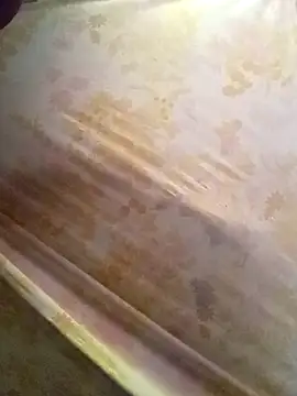 Snapshot of Cogelonregio chatting on October 2025 04:43:02 PM Cogelonregio online show from October 2025 04:43:02 PM