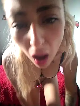 catalella16 online show from February 2026 12:26:01 PM