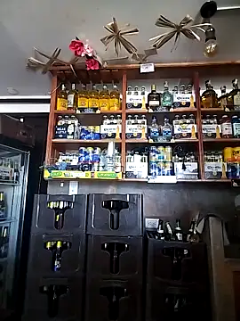 catalella16 online show from February 2026 04:47:01 PM