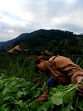 omai-ngot online show from November 2025 09:19:02 AM