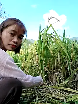 omai-ngot online show from October 2025 01:48:01 AM