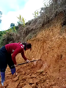 omai-ngot online show from November 2025 01:20:02 AM