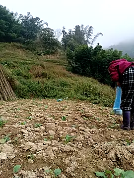 omai-ngot online show from December 2025 02:21:01 AM