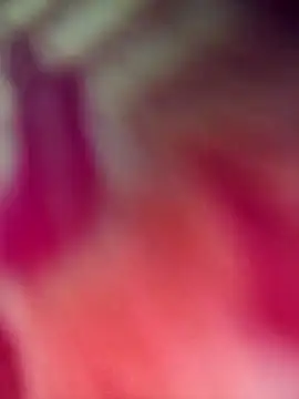 Ratri-Biswas online show from February 2026 11:53:01 AM