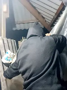 nui-show online show from November 2025 01:37:02 PM