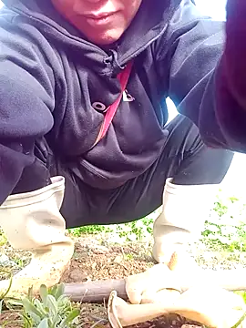 nui-show online show from November 2025 01:43:01 AM