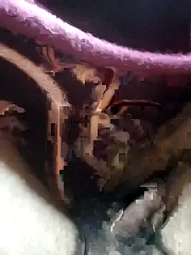 Soumyajit129ommk online show from December 2025 02:43:02 AM