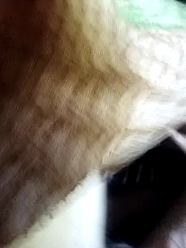 Soumyajit129ommk online show from November 2025 03:01:02 AM