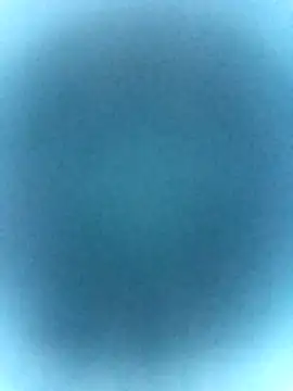 tabby-cat11 online show from February 2026 02:47:01 PM