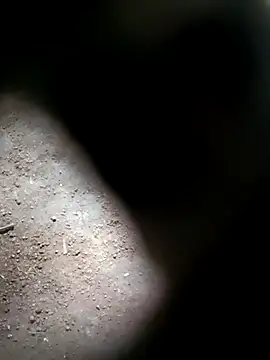 M-MAYA online show from November 2025 06:41:01 AM