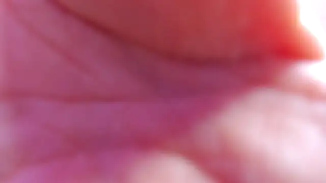 valentina clk online show from October 2025 01:22:02 PM