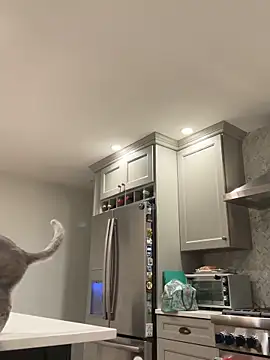 Snapshot of 1totangox chatting on November 2025 12:22:01 AM 1totangox online show from November 2025 12:22:01 AM