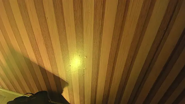 mia  blaze   online show from March 2026 02:57:02 AM