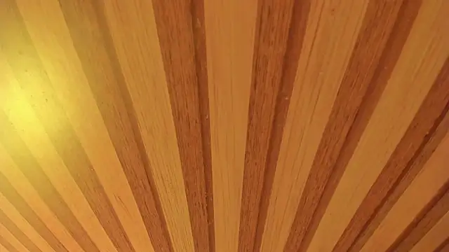 Snapshot of mia__blaze__ chatting on January 2026 02:59:02 AM mia blaze online show from January 2026 02:59:02 AM