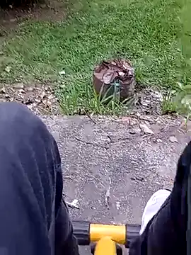 roludao fun online show from February 2026 09:17:01 PM