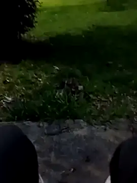 roludao fun online show from January 2026 10:17:01 PM