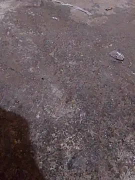 Orlao25cm online show from November 2025 04:39:01 AM