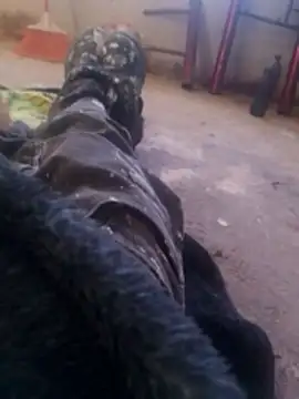 Orlao25cm online show from November 2025 01:58:02 PM