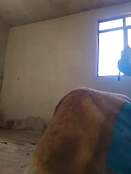 Orlao25cm online show from November 2025 01:59:02 PM