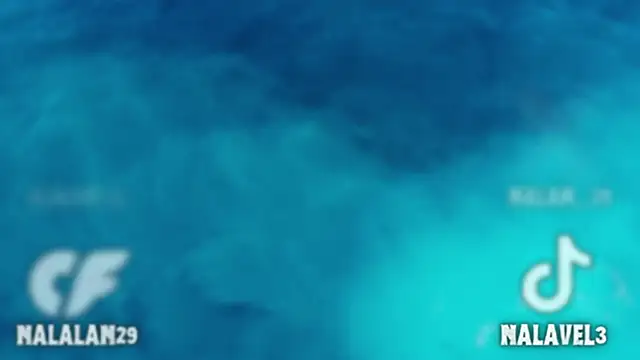 Nalan   online show from November 2025 06:02:01 AM