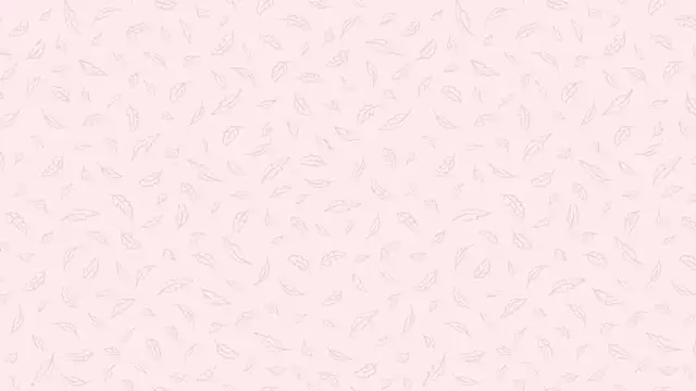 Nalan   online show from November 2025 06:06:01 AM