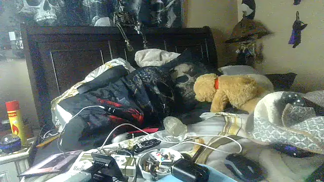 bigdaddyrooster online show from January 2026 06:28:02 AM