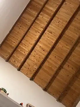 valeriahornier online show from March 2026 02:06:02 AM