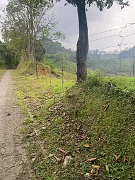 motomotoboy online show from March 2026 06:48:01 PM