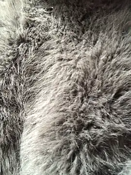 Kylie beem online show from February 2026 03:27:01 AM