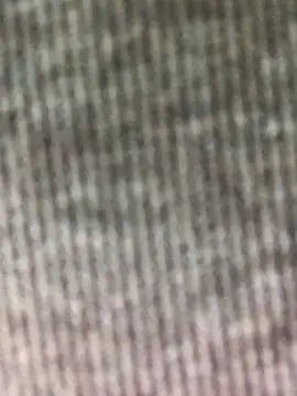 Kylie beem online show from February 2026 02:12:02 AM