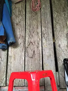 Kylie beem online show from March 2026 06:20:01 AM