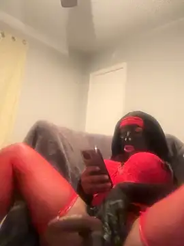 Owlpow online show from November 2025 08:04:01 AM