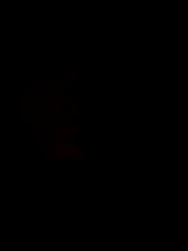 oraharoncohen online show from October 2025 11:11:01 PM