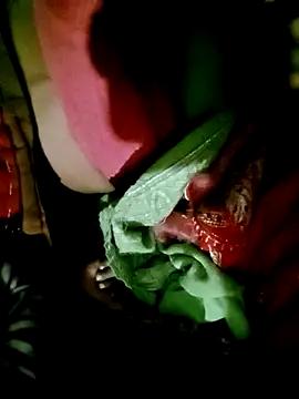 Hot cauple indian online show from December 2025 03:57:01 PM