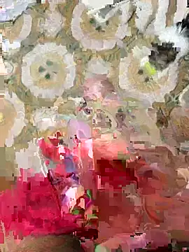 Anaconda Negra20 online show from January 2026 09:37:02 AM