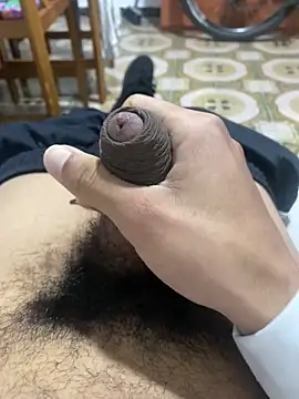 Anaconda Negra20 online show from November 2025 08:24:01 PM