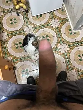 Anaconda Negra20 online show from April 2026 06:04:02 AM