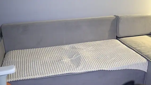 WhyEmmyCry online show from November 2025 05:50:01 AM